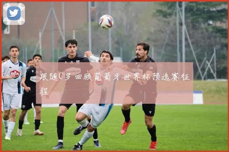 跟随C罗回顾葡萄牙世界杯预选赛征程