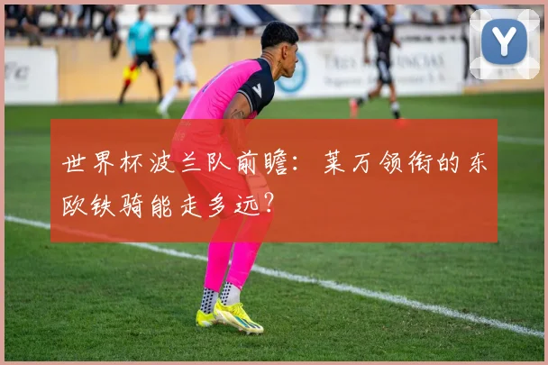 世界杯波兰队前瞻：莱万领衔的东欧铁骑能走多远？